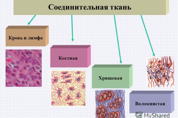 Войти на кракен