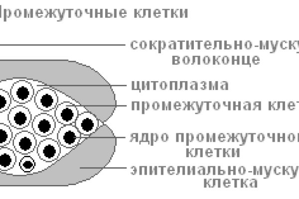 Сайт кракен kraken